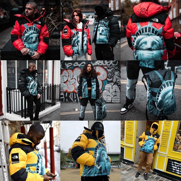 シュプリーム コラボ ザ ノースフェイス 偽物 Statue Of Liberty Mountain Jacket