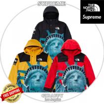 シュプリーム コラボ ザ ノースフェイス 偽物 Statue Of Liberty Mounta...