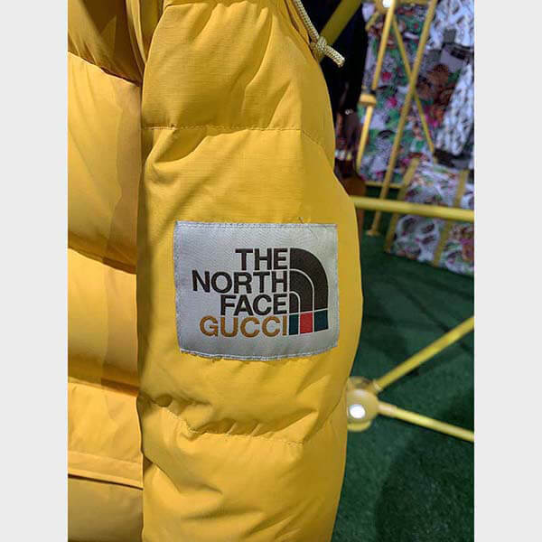ザノースフェイス × グッチ DOWN JACKET ダウンコート 偽物 2色