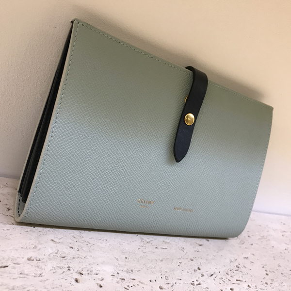 2018SS セリーヌ 財布コピー 104873A15.29PGストラップ長財布 Pastel Green ストラップ
